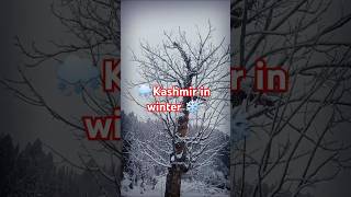 Why Kashmir is the Most Beautiful Place on Earth