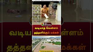 வடியாத வெள்ளம் தத்தளிக்கும் மக்கள் | #vijayawada | #rain | #flood | #shorts