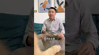 四毛：就這水平還要指揮我？ #Shorts