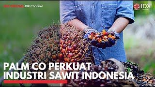 Palm Co Perkuat Industri Sawit Indonesia | IDX CHANNEL