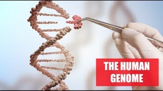 Rewriting The Human Genome