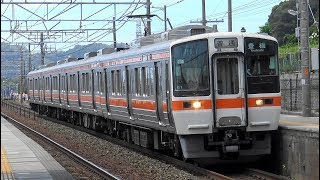 【4K】JR東海311系(界磁添加励磁制御)・313系5000番台+5300番台・1100番台+300番台(東芝IGBT-VVVF)到着・発車・通過シーン集 三河大塚駅、蒲郡駅にて 2018.8