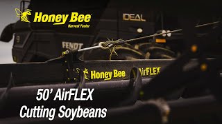 50' AirFLEX Header Demo | Soybeans