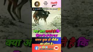 deer के बारे मे रोचक तथ्य #shorts #animals facts in hindi #ytshort#virl2024 @Animal-facts295🦌💯😨👍