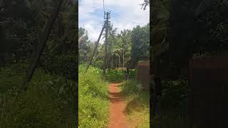 വയല് കാണാൻ പോയി... 🌾🌾