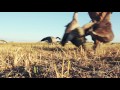 heartland waterfowl summer tradition outdoor channel