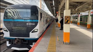 【E257系】特急踊り子3号　横浜駅　入線