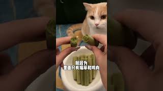 这个猫草棒可以磨牙洁齿,增肥发腮重要的是猫咪还很爱吃!#猫草 #好物分享 #好物推荐