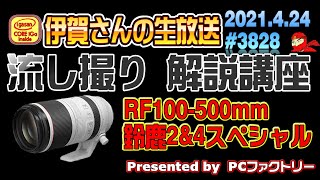 【撮影】モータースポーツ流し撮り解説講座 鈴鹿2\u00264直前SP  #3828​ 2021.4.24