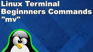 Linux Terminal for Beginners Commands 9: Moving and Renaming Files with mv