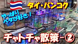 【ベタ飼育 286】水槽を買って駐車場までのんびりチャトチャを散策しました！ 今回はちゃんと自制してお迎えはせず(；ﾟДﾟ)　訪タイでのチャトチャ散策の情報にどうそ！