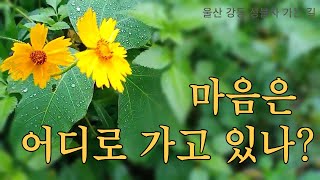 【좋은 글과 명상 70】 마음은 청개구리, 광우스님 가시를 거두세요 中,  울산 강동 성불사 가는 길┃휴식이 필요한 당신을 위한 힐링 여행┃잠 못 이루는 밤을 위해┃마음 부자