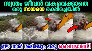 സ്വന്തം ജീവൻ വകവെക്കാതെ ഒരു നായയെ രക്ഷിച്ചെങ്കിൽ ഈ സാർ ശരിക്കും ഒരു ദൈവമാണ്.! | This Is God