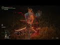 【エルデンリング】 ツインブレード 忌み潰しノーダメージ elden ring omenkiller boss fight no damage ps5