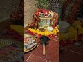 fyp tulsivivah shakti maa spirituak bhajan bhakti spiritialeve tulsi vivah pooja