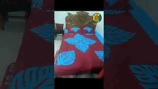 এপ্লিক/ কাটওয়ার্ক ডিজাইনার  কিছু চাদর।।Aplique Bed sit