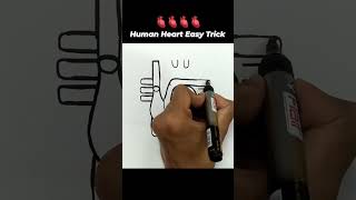 HUMAN HEART EASY TRICKS #shortsfeed #science #drawing