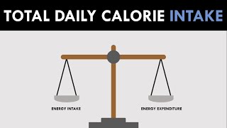 Total Daily Calorie Intake | Nutrition for Body Composition