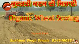 ਕੁਦਰਤੀ ਕਣਕ ਦੀ ਬਿਜਾਈ ll Organic Wheat Sowing