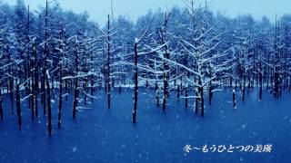 【Hokkaido travel】16_winter biei