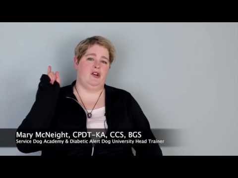 Migraine Alert Dog Training - What Tasks Can A Migraine Alerting Dog Do For Me Migraine Alert Dog Training - What Tasks Can A Migraine Alerting Dog Do For Me