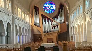 John Weaver - Toccata (organ: Ignace Michiels)