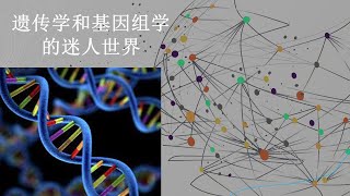 遗传学和基因组学的迷人世界 - 在六分钟内解释