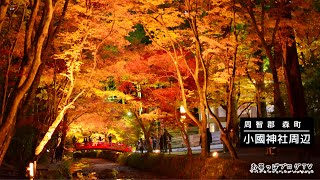 遠州森町・小國神社周辺の紅葉風景