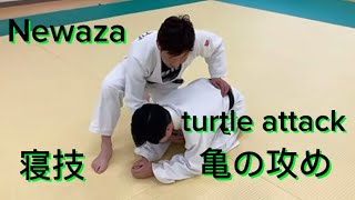 【柔道】簡単にできる寝技３つ！Easy, Strong, Newaza 3 patterns