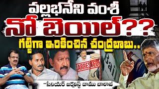 వల్లభనేని వంశీ కి నో బెయిల్‌? No bail for Vallabhaneni Vamsi, Chandrababu Big Shock | Daamu | Red Tv