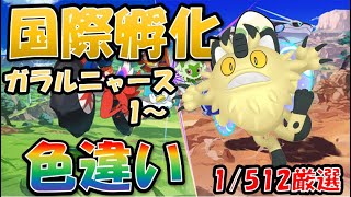 【ポケモンSV】国際孵化色違い厳選　ガラルニャース　１～　１日目