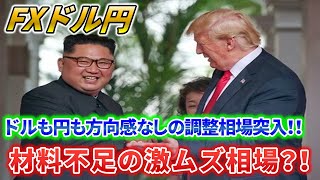 【ドル円】材料不足の激ムズ相場？！ドルも円も方向感なしの調整相場突入！！☆２０２５/１/８（水)☆