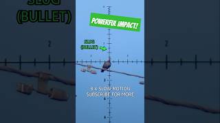 Powerful Airgun Impact | FX Impact | Best PCP Airguns in the world | FX Airguns