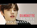 [SILHOUETTE] 크래비티(Cravity)  '울고 싶지 않아(Don't wanna cry)-세븐틴(SEVENTEEN)' Full.ver