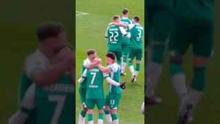 Werder bremen vs Bochum Torschütze zum 3:0 marvin ducksch