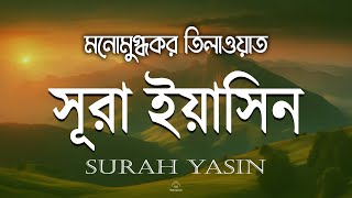 প্রতিদিন সকালে শুনুন সূরা ইয়াসিন মন জুড়ানো তেলাওয়াত l Yaseen l Recited by Alaa Aqel