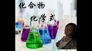 化合物 化学式     #初中科学 #化学式 #化合物 #化学 #科学