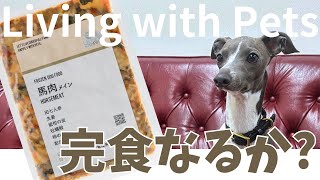 【挑戦!!】社長が買った新しいドッグフードを愛犬ジョー君は完食できるのか？