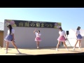 ryutist 「哲学するのだ」 2014 10 19 南陽の菊まつり1回目