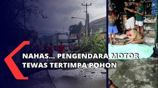 Nahas... Pengendara Motor Tewas Tertimpa Pohon