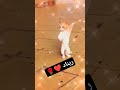 ريناد.....طلب خاص ريناد cat drôle funny ترند_السعودية shorts بنات