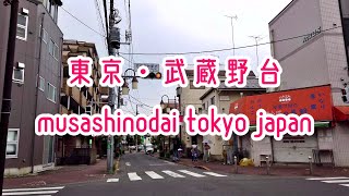 【4K】武蔵野台(東京-府中) 散歩動画 Walking Musashinodai Tokyo Japan 2020.09