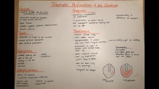 Traumatic Perforation of the Eardrum - clinics, ENT