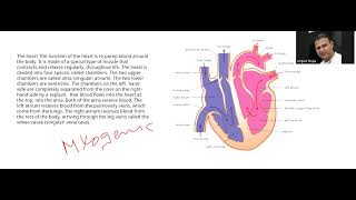 5090 BIOLOGY TRANSPORT IN MAMMALS