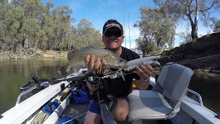 Murrray Cod Fishing - Murrumbidgee River Back To The Old Stomping Ground Episode 1