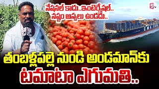 Tomato export from Tamballapalle to Andaman | నష్టం అస్సలు ఉండదు.. | SumanTV Annamayya Dist