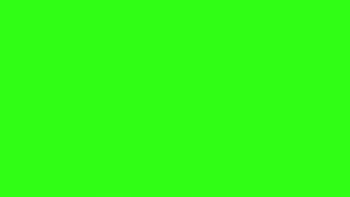 Murideo Full Green Test Pattern 4K 24fps