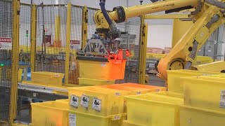 Workers, robots fulfill Cyber Monday orders at Amazon's facility in Goodyear