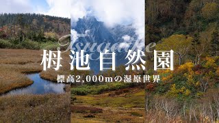 紅葉ハイク　標高2,000ｍの高層湿原「栂池自然園」を散策する　小谷村　白馬三山・白馬大雪渓の見所　４K