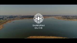 SAMURAI OLIVE 佐倉社中合同会社